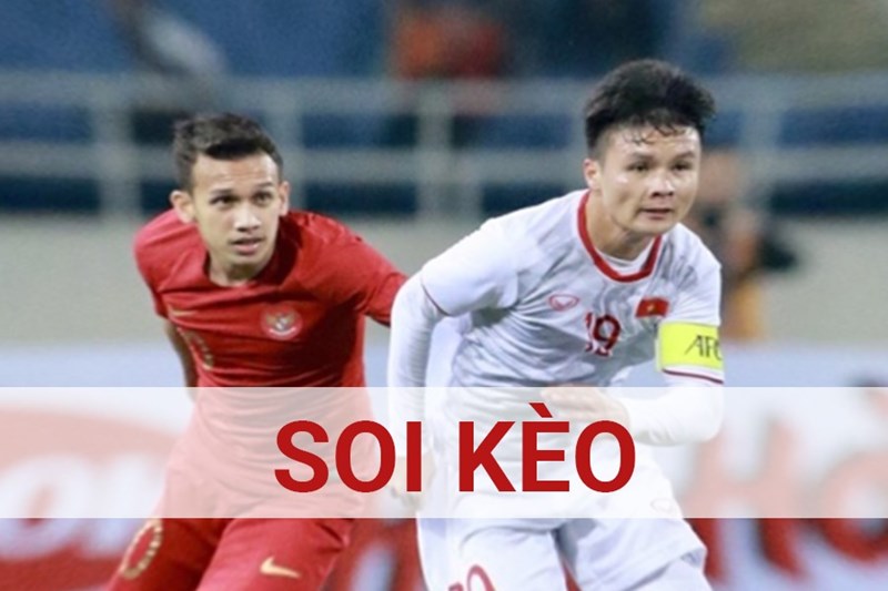 soi kèo bóng cỏ